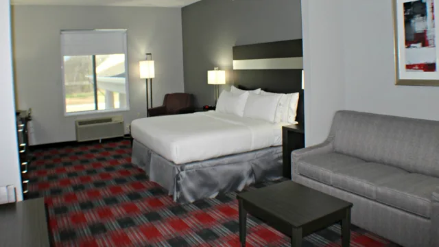جناح بسرير كينج، Holiday Inn Express Suites Bonham 1/1
