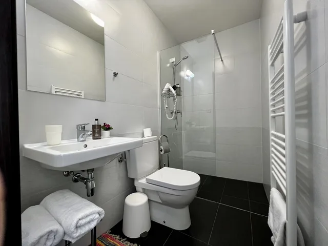 Superior, Queen Bed, Garden View, Balcony, Hotel Shato 9/10