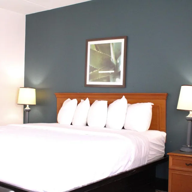 غرفة ديلوكس بسرير كينج، La Quinta Inn & Suites by Wyndham Lakeland East 1/3