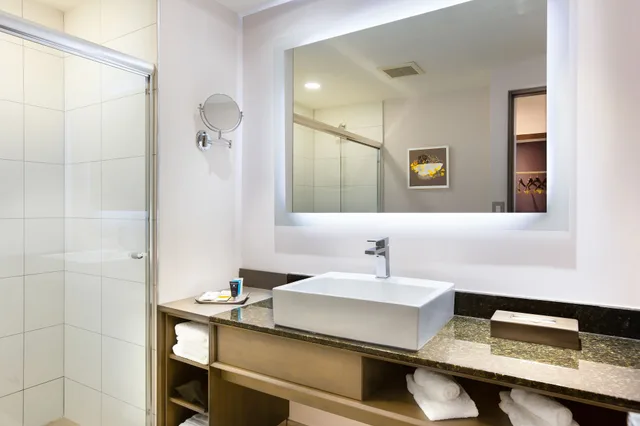 Standard, Single Bed, Crowne Plaza San Jose La Sabana by IHG 6/6