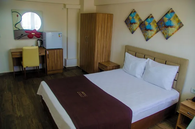 غرفة قياسية مفردة بسرير مزدوج، Hotel Zileli 3/5