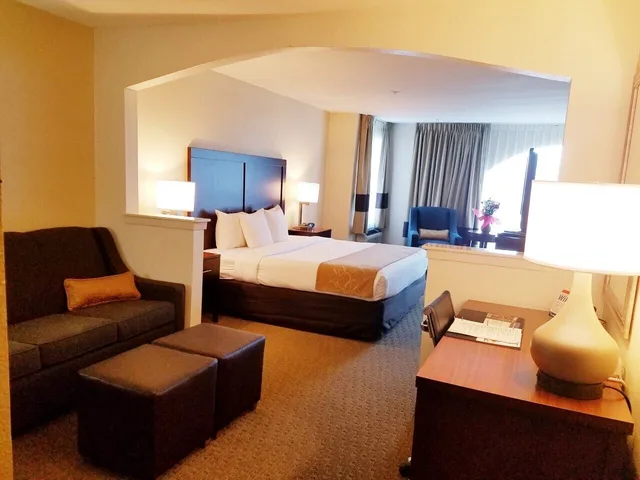 جناح بسرير كينج مع أريكة، Quality Suites Irving-Las Colinas 9/10