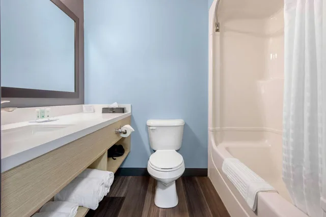 غرفة بسرير كينج لذوي الإعاقة، Quality Inn & Suites Oakville 8/8