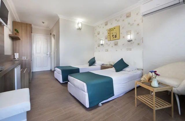 غرفة قياسية بسريرين منفصلين، Alanya Buyuk Hotel 3/10