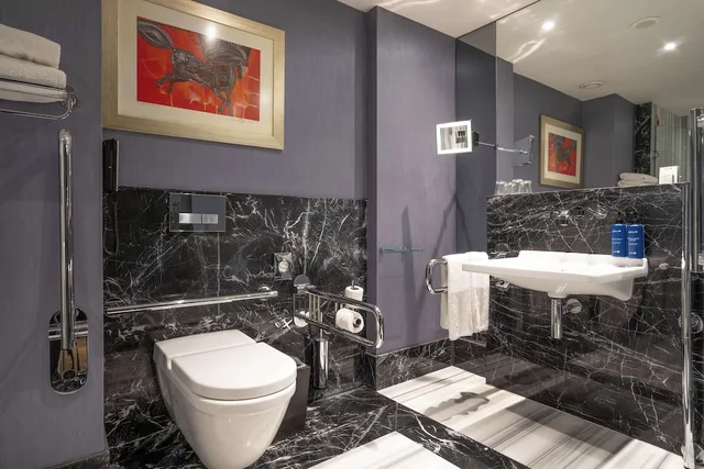 غرفة قياسية، Radisson Blu Hotel Istanbul Pera 5/5
