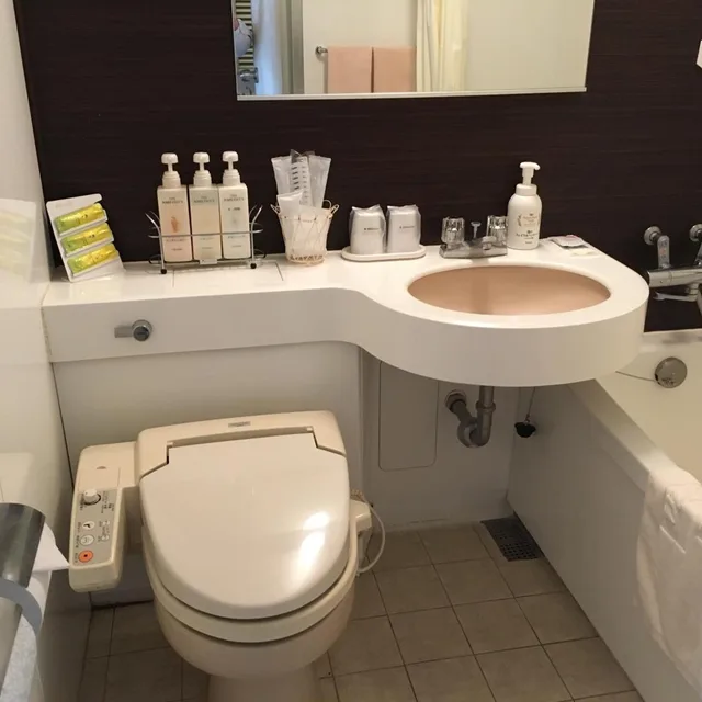 Deluxe, Double Bed, Smoking, Hotel Siena 3/3