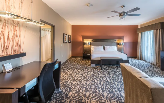 غرفة قياسية بسرير كينج مع أريكة، Holiday Inn Express Amp Suites North Dallas At Preston 3/10