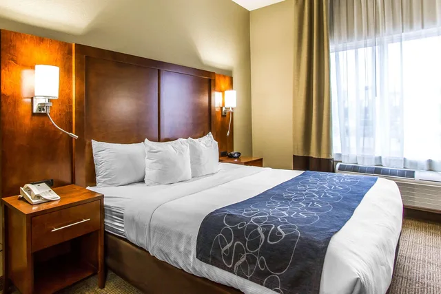 غرفة بسرير كينج، Comfort Suites Mattoon 3/3
