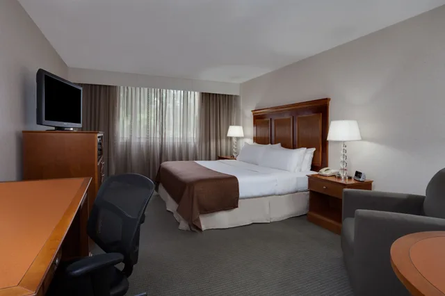 Standard, King Bed, Accessible, Holiday Inn Bangor 7/10