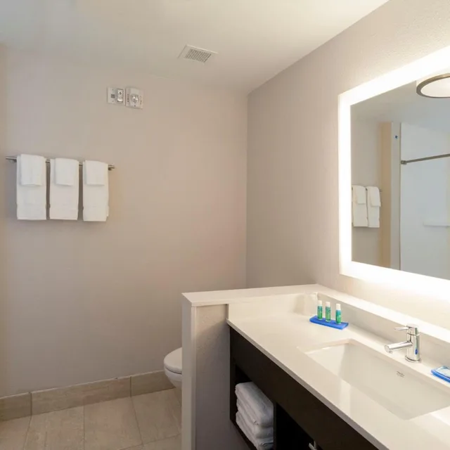جناح بسرير كوين، Holiday Inn Express Hotel Suites Dallas South Desoto 6/6