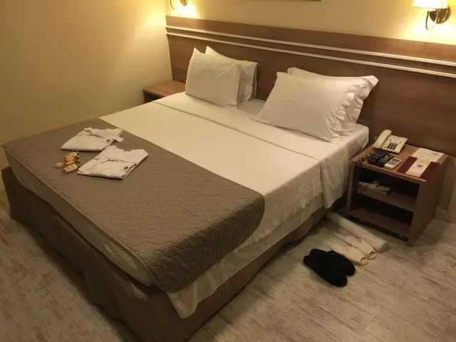 غرفة سوبيريور بسرير مزدوج، PALACE HOTEL 1/3