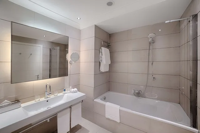 1 Bedroom, Studio, Suite, RADISSON BLU HOTEL MILAN 1/3