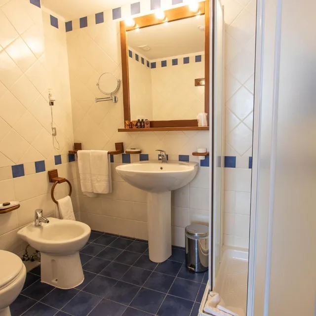 Room, Single, Park Hotel 5/6