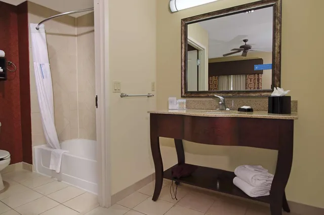 Studio, Suite, King Bed, Sofa, Hampton Inn Suites Conroe I 45 North 3/3