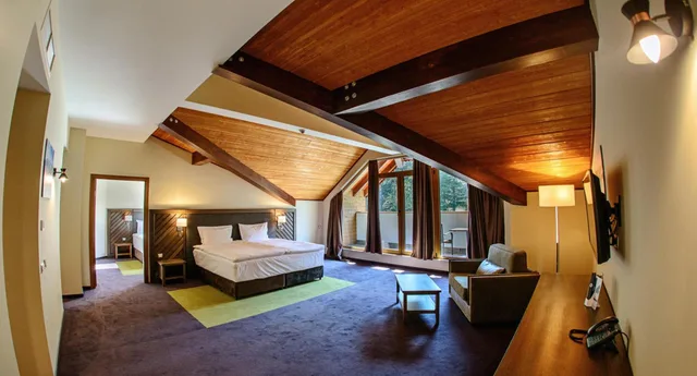 Suite, Single Bed, Hot Springs Medical & Spa Hotel 8/10