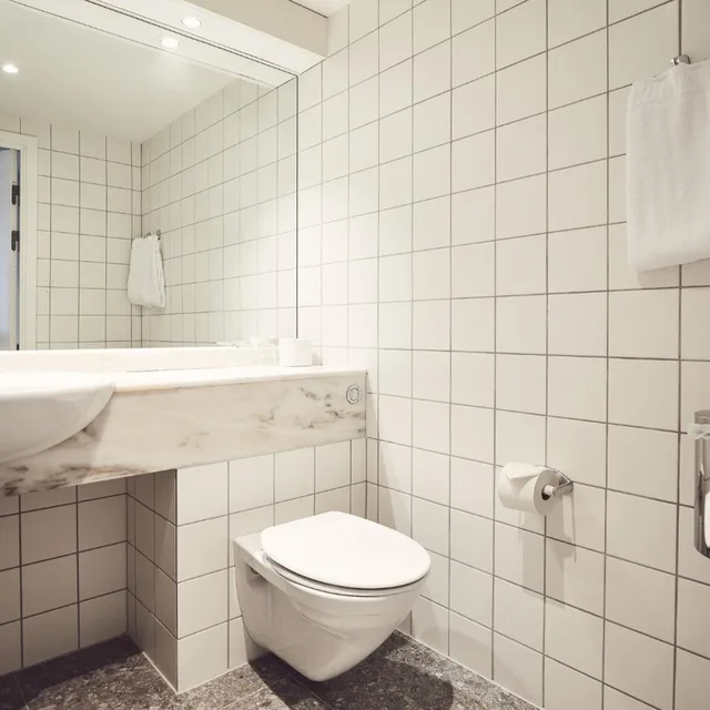غرفة بسريرين منفصلين، Quality Hotel Maritim 4/6