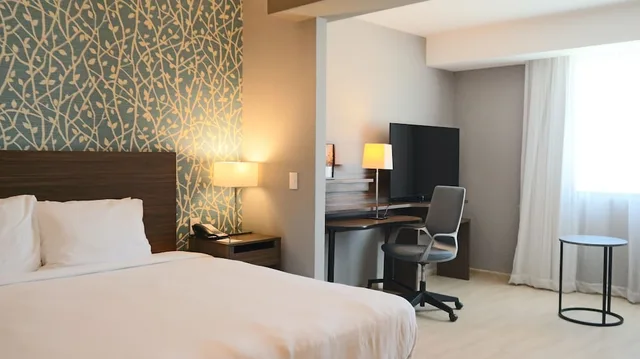جناح بسرير كينج مع أريكة، Fairfield Inn Suites Aguascalientes 6/8