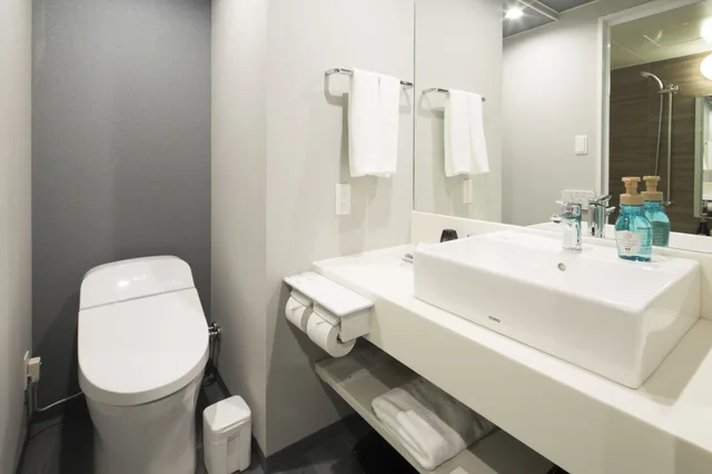غرفة مفردة بسرير مزدوج، Shizutetsu Hotel Prezio Hakata-Ekimae 7/10