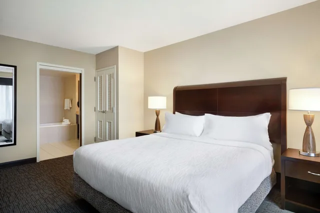جناح ديلوكس بسرير كينج بغرفة نوم واحدة، Hilton Garden Inn Atlanta Downtown 6/10