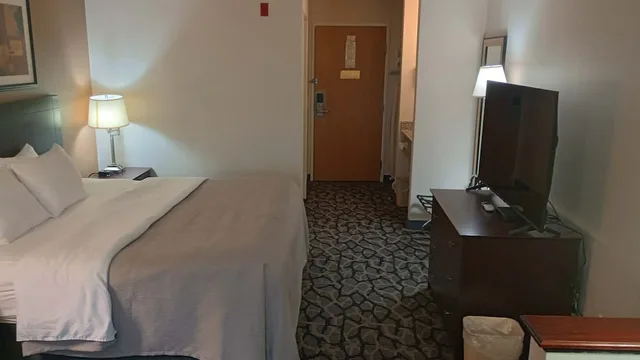 غرفة قياسية بسرير كينج، Quality Inn & Suites Eldridge Davenport North 7/7