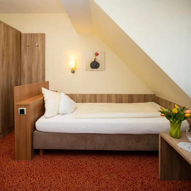 غرفة اقتصادية مفردة، Ambient Hotel Am Europakanal 1/5