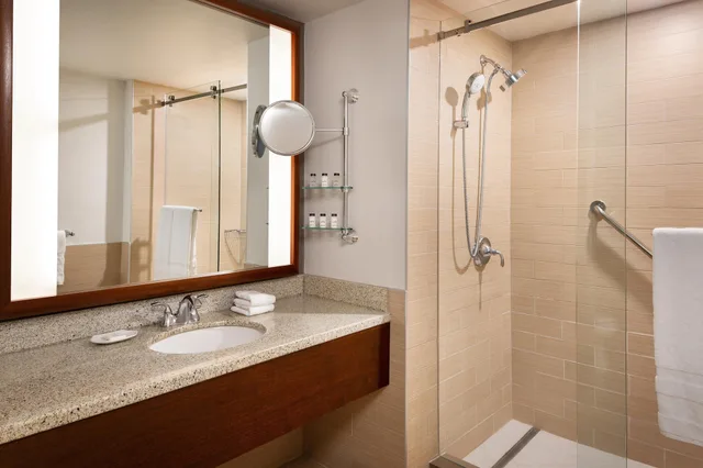 جناح جونيور بسرير كينج بشرفة، SHERATON VANCOUVER AIRPORT HOTEL 5/5