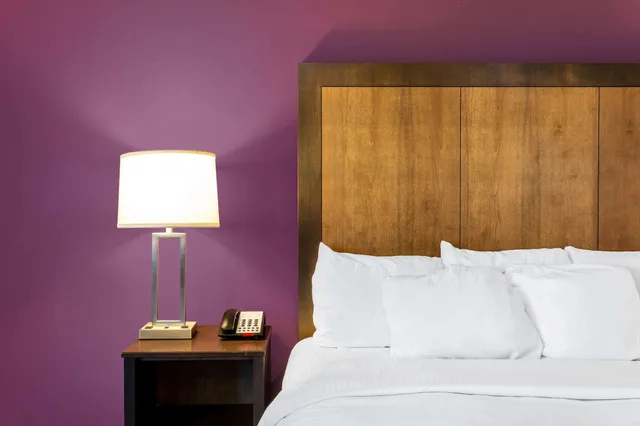 جناح ديلوكس بسرير كينج لذوي الإعاقة، La Quinta Inn & Suites by Wyndham Monahans 1/2