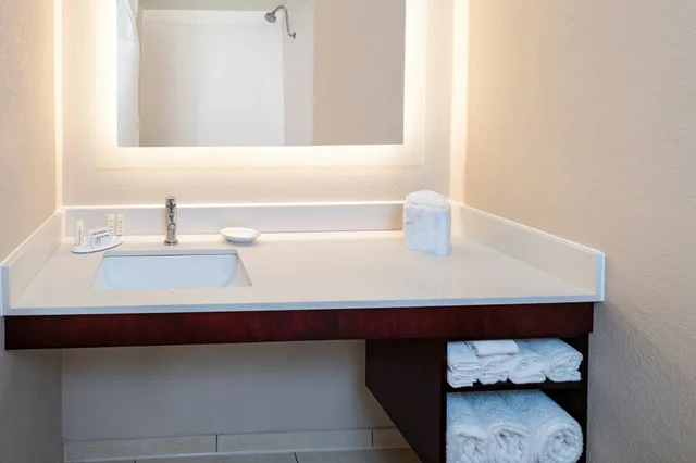 جناح، Springhill Suites Houston Medical Center Nrg Park 3/3