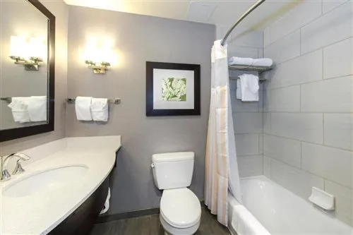 غرفة بسريرين كوين بحوض استحمام لذوي الإعاقة، Hilton Garden Inn Raleigh Cary 1/1