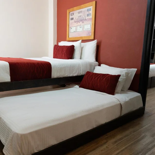 Efficiency, Superior, Suite، Comfort Inn San Luis Potosi 2/10