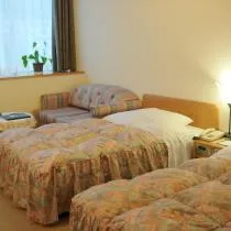 غرفة قياسية بسريرين منفصلين بإطلالة على الجبل، HOTEL SEIRA SHIMANTO 1/1