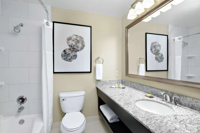1 Bedroom, Suite, King Bed, Courtyard View, DoubleTree Suites by Hilton Charlotte SouthPark 3/3