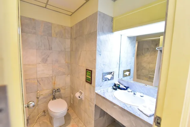 غرفة بريميير بسريرين منفصلين، Hansa Jb Hotel 2/3
