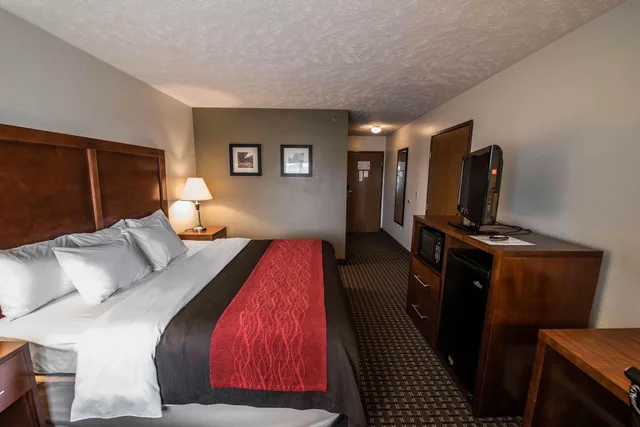 غرفة قياسية بسرير كينج، Comfort Inn Atkins 3/5
