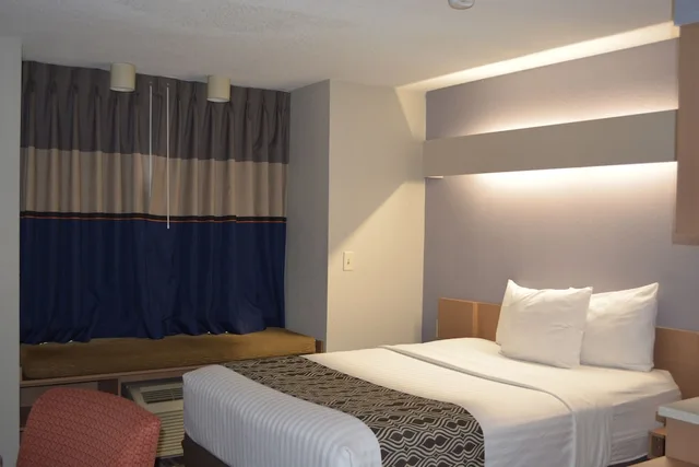 Standard, Queen Bed, Accessible, Microtel Inn & Suites by Wyndham BWI Airport Baltimore 1/8