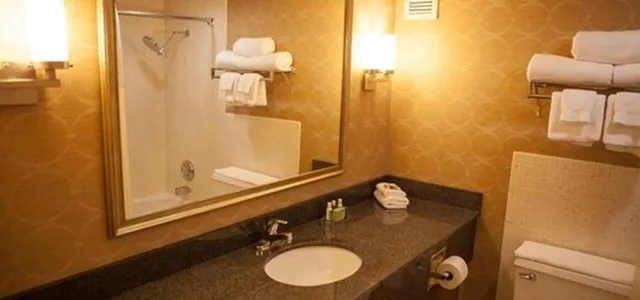 غرفة بزنس بسرير كينج، Decatur Conference Center Hotel 1/1