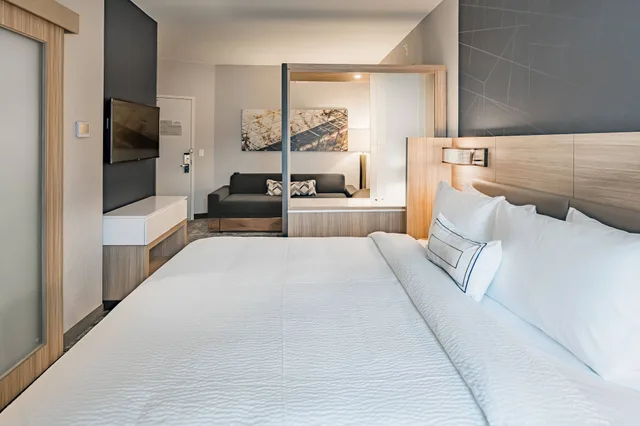 جناح بسرير كينج مع أريكة، Springhill Suites By Marriott Dallas Mckinney/Allen 1/4