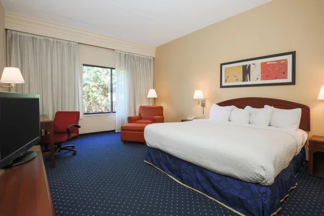 غرفة بسرير كينج مع أريكة بحوض استحمام لذوي الإعاقة، Courtyard by Marriott Flint Grand Blanc 3/10