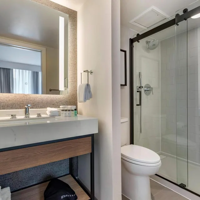 1 Bedroom, Conference, Suite, King Bed، Sheraton Suites Old Town Alexandria 5/6