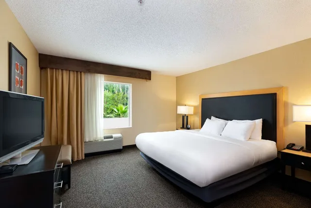 جناح استوديو بسرير كينج مع أريكة، DoubleTree by Hilton Hotel Savannah Airport 1/10