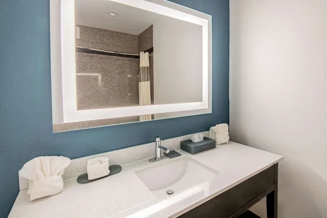 Room, King Bed, Accessible, La Quinta Inn & Suites by Wyndham Dalhart 4/4