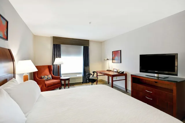 Evolution, King Bed، Hilton Garden Inn Gulfport Airport 2/4