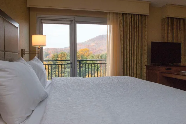 استوديو بسرير كينج بشرفة مع أريكة لذوي الإعاقة، Hampton Inn & Suites Boone 1/3