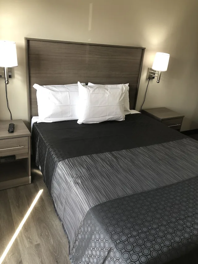 غرفة قياسية مفردة بسرير كوين، Trolley Stop Motel Philadelphia Media 3/6