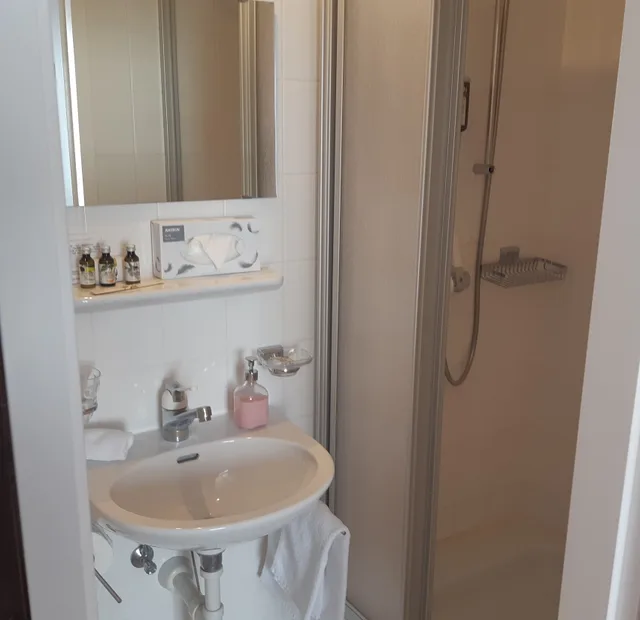 غرفة قياسية بسرير مزدوج، Hotel Regina Wengen 5/5