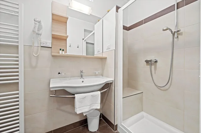 Panoramic, Studio, Double Bed, Valley View, Balcony، Residence Lagorai 5/7