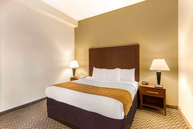 جناح بسرير كينج لذوي الإعاقة، Comfort Suites Elkridge Columbia Gateway 1/3