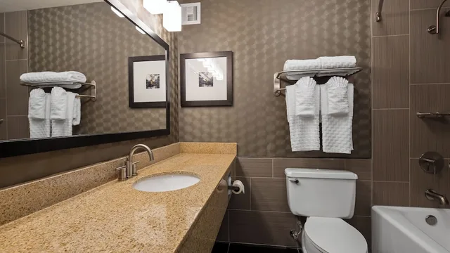 غرفة ديلوكس بسرير كينج مع أريكة، Best Western Premier Airport/Expo Center Hotel 6/8