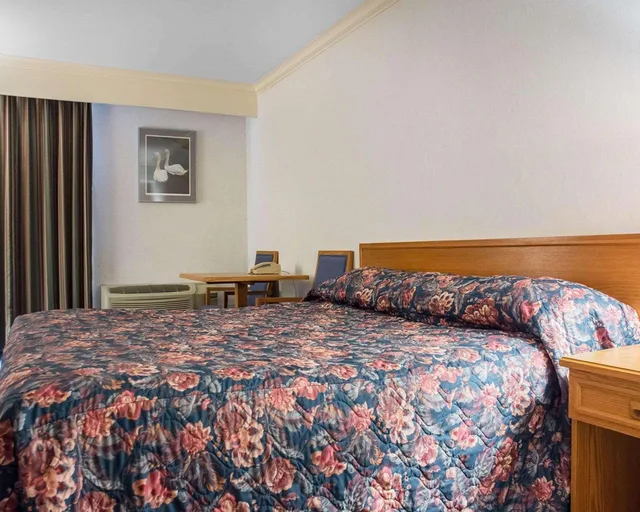 غرفة بسرير كينج، Econo Lodge By The Falls 1/1