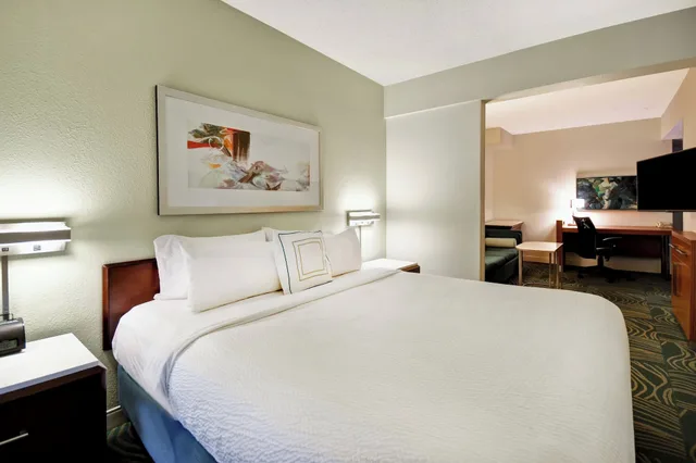استوديو بسريرين كوين مع أريكة، Springhill Suites Baltimore Bwi Airport 3/10